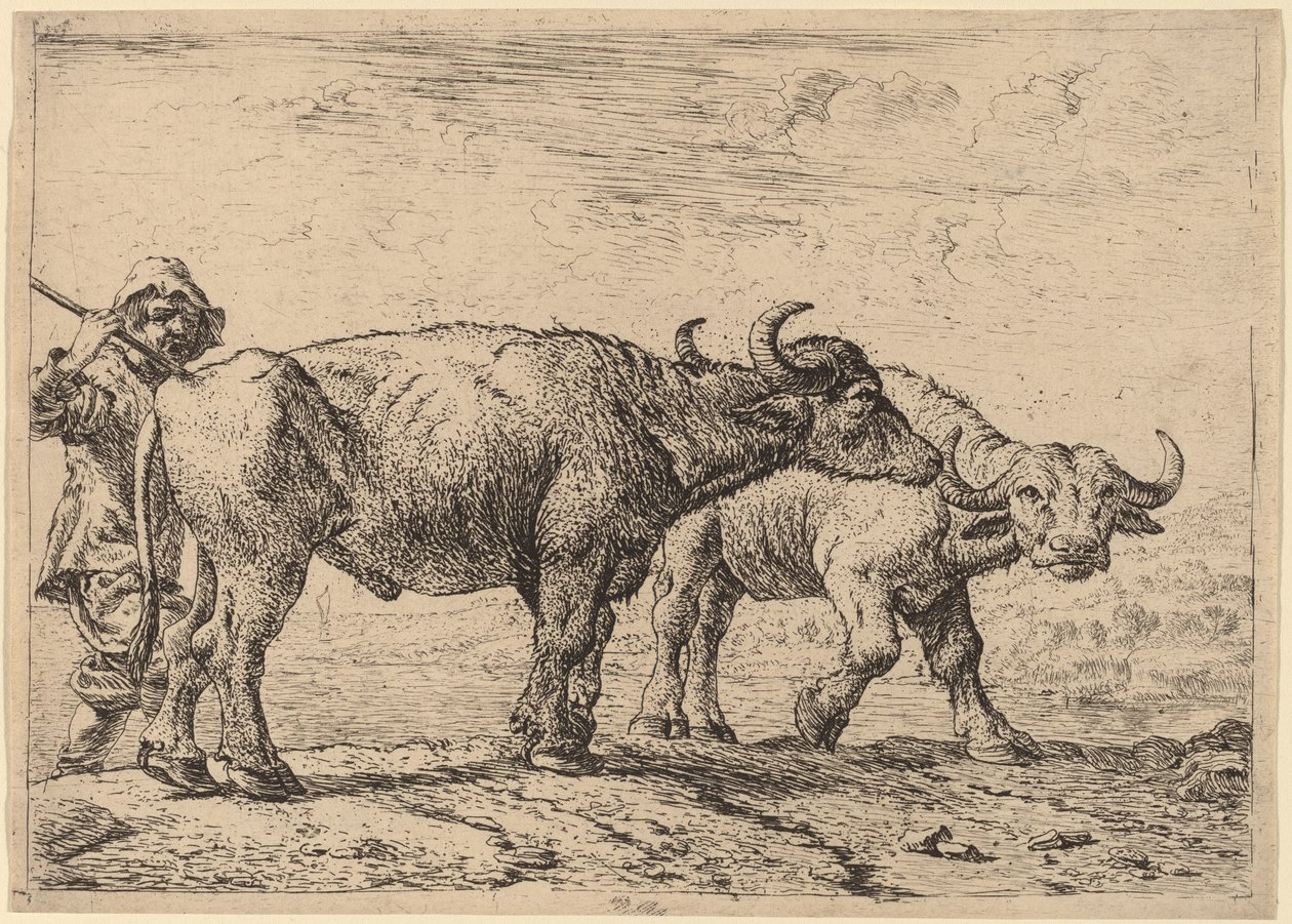 Två bufflar och en herde av Pieter van Laer
