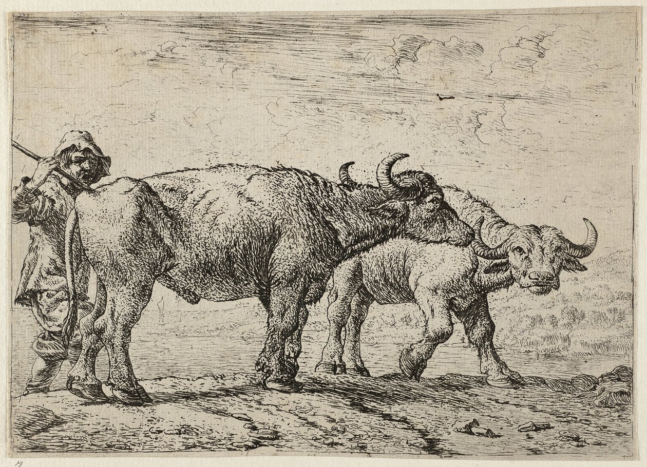 Två bufflar och en boskapsskötare av Pieter van Laer