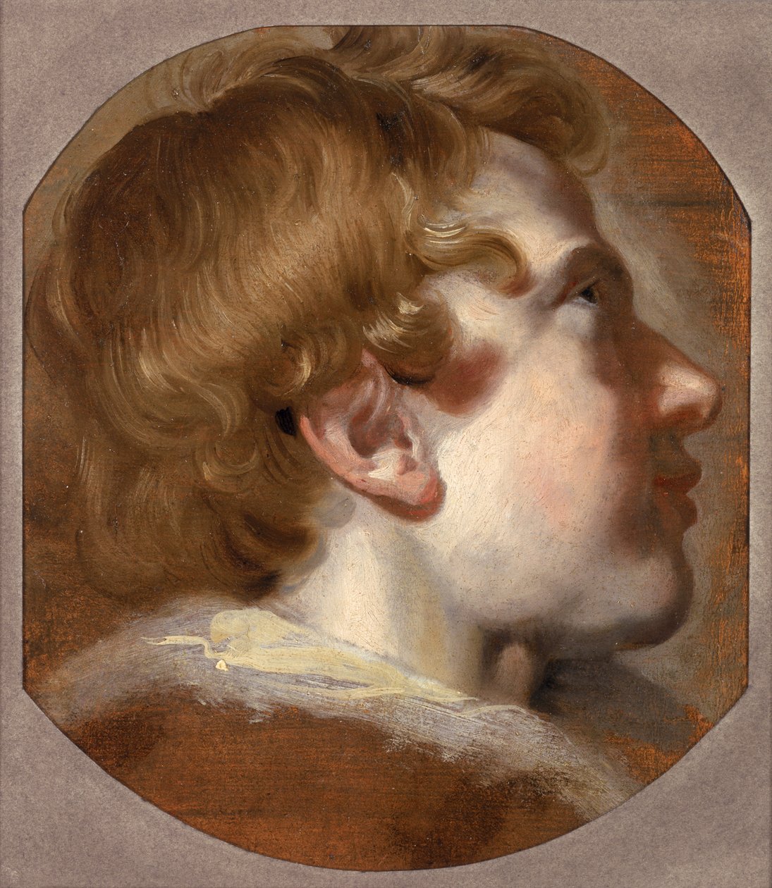 Head of a Young Boy, ca 1620-talet (olja på papper) av Pieter van Mol