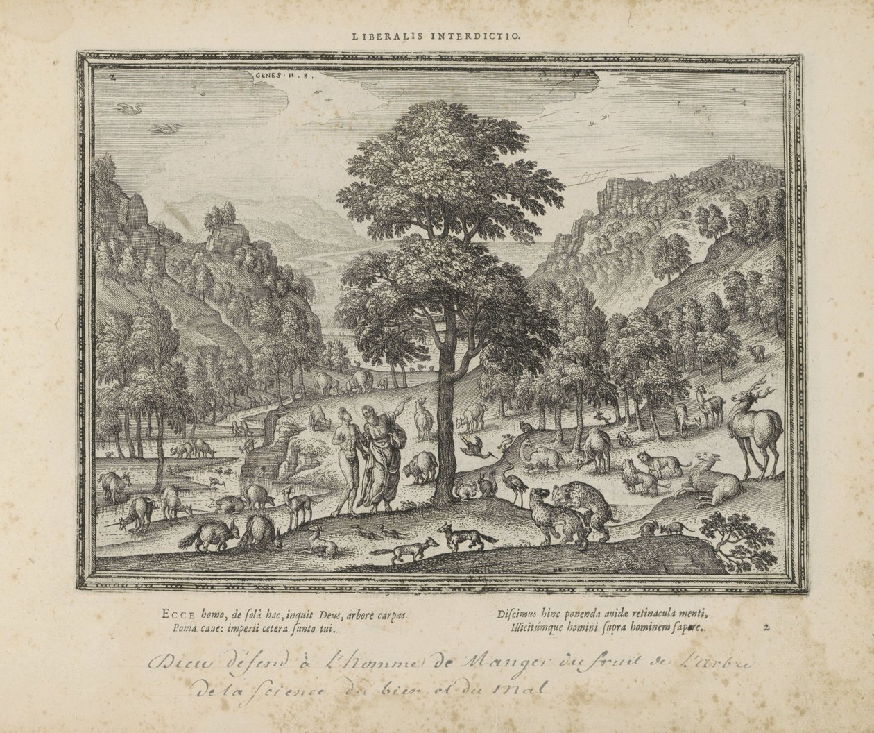 Gud visade Adam het paradijs Liberalt förbud (titel på föremål) The Sacred Emblems and the Main History of Both Testaments (Oude Testament) (serietitel) Bilder och figurer av böcker (serietitel) av Pieter van der Borcht (I)