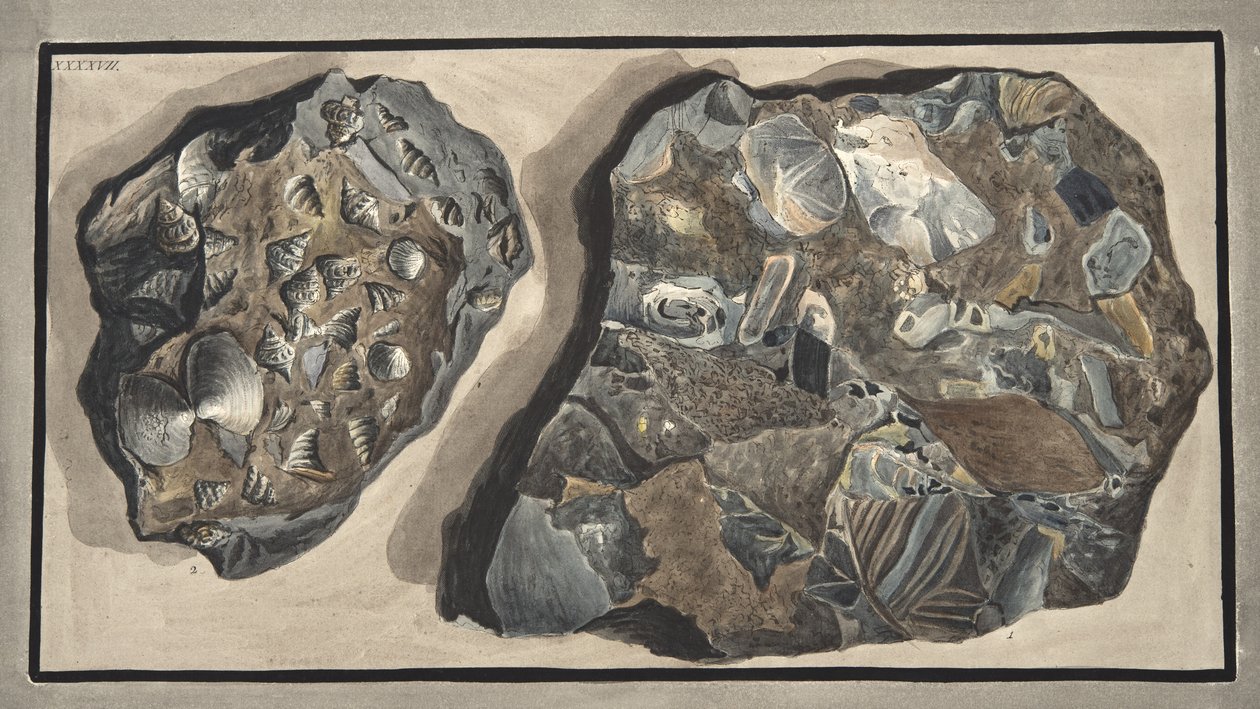 Marmorstycke sammansatt av fragment av olika sorters marmor som finns i Fossa Grande, Platta XXXXVII: från 