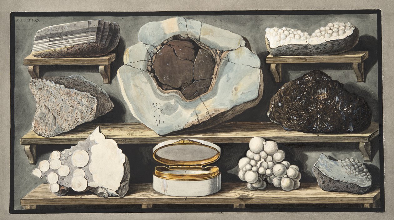 Exemplar av märkliga stenar hittade av författaren på Vesuvius, Platta XXXXVIII, från 