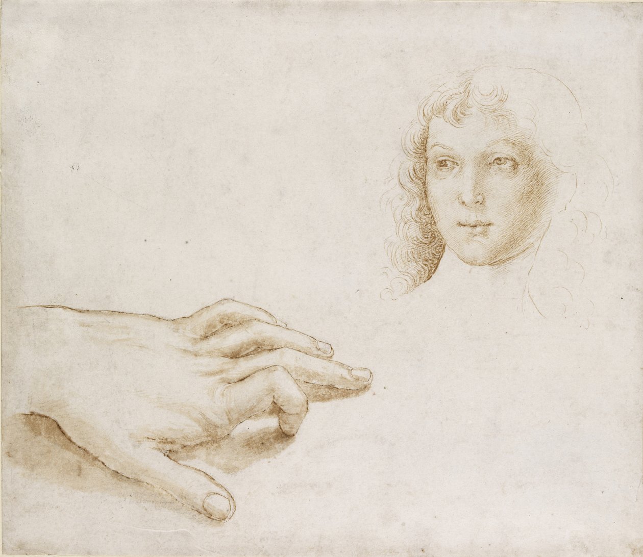 Studier av ett huvud och en hand, WA1846.8 av Pietro Perugino