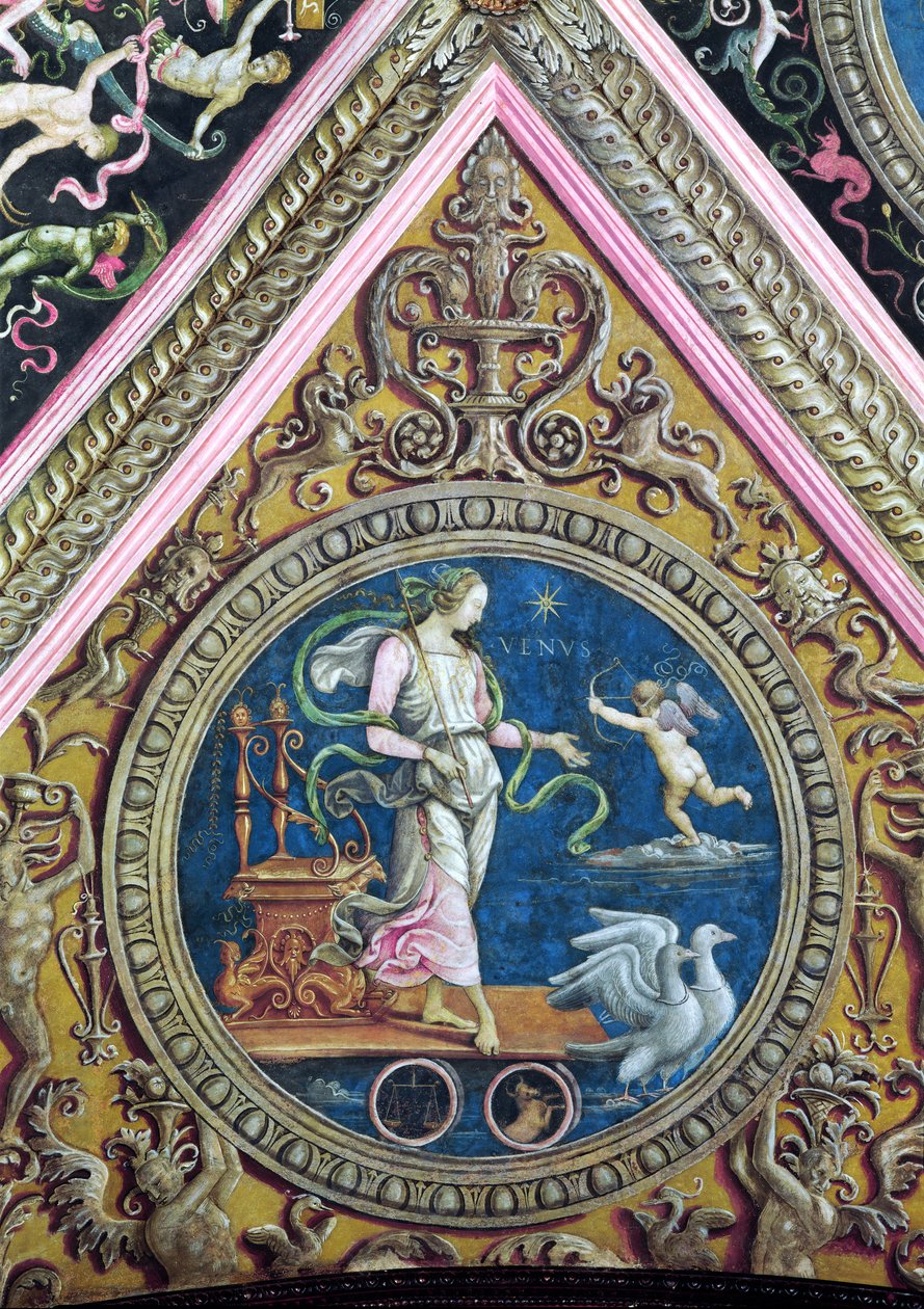 Venus, från Sala dell