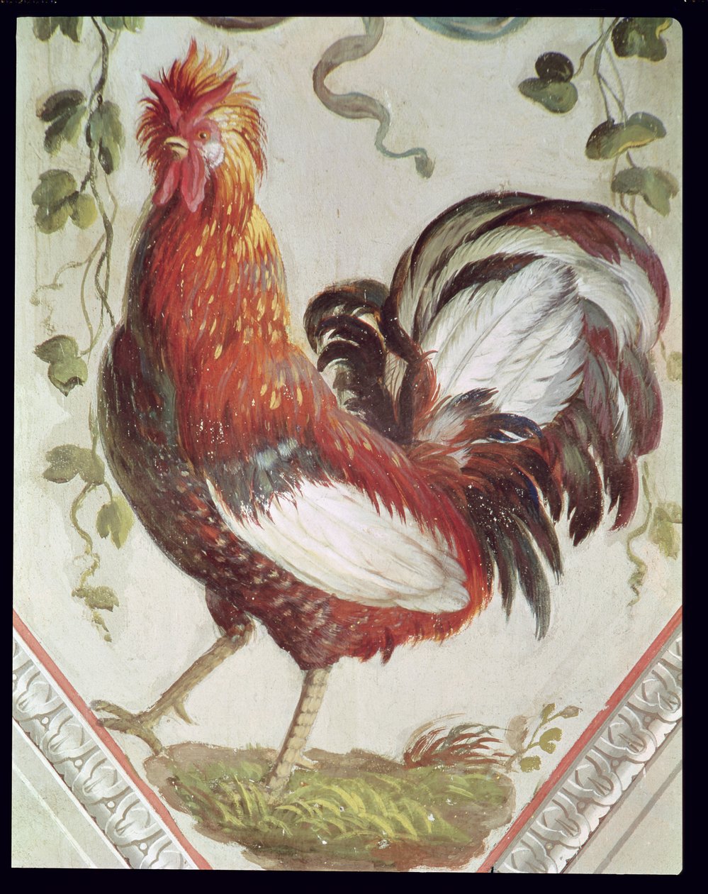 Detalje af en hane, slutningen af det 18. århundrede swed av Pietro Rotati