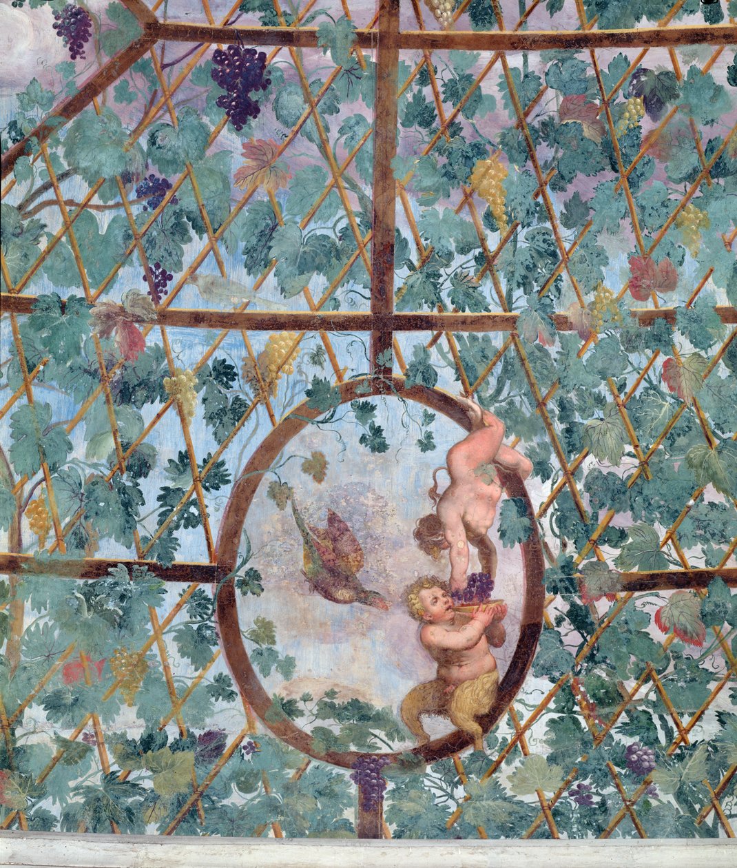 Den halvcirkelformade joniska portiken, detalj av takvalvet som föreställer en putto som matar en ung satyr med druvor, 1551-55 av Pietro Venale