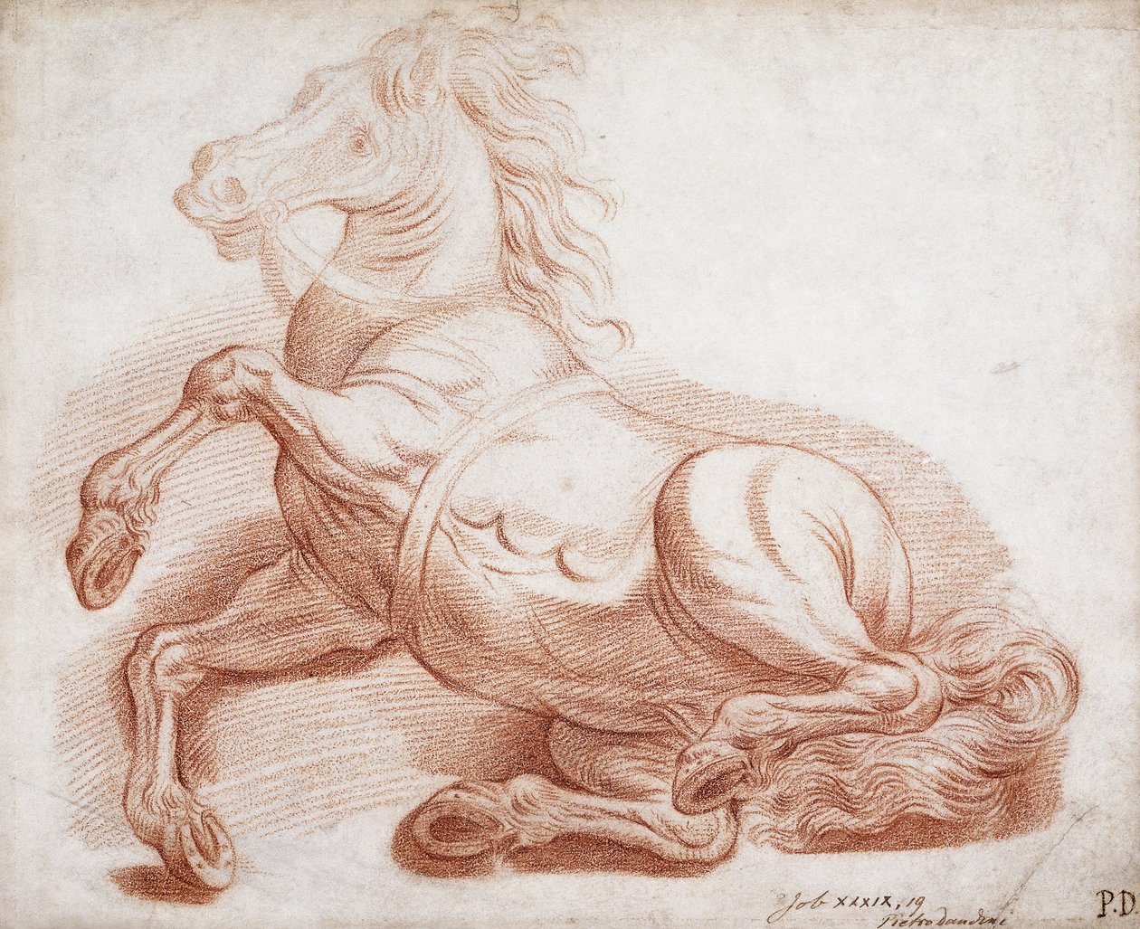 En fallen häst, av Pietro Dandini
