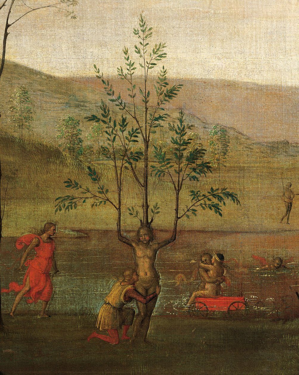 Trädkvinna, detalj av kampen mellan kärlek och kyskhet av Pietro Perugino