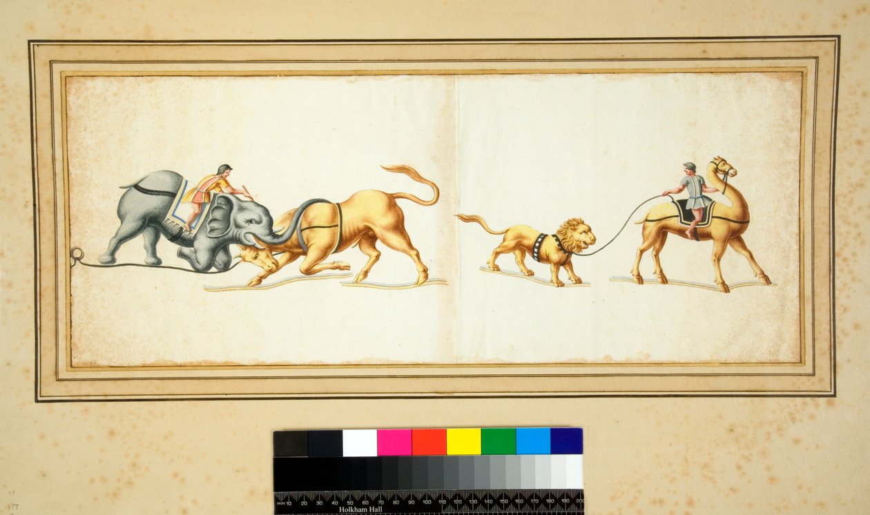 Kopia av en mosaik av en elefant som slåss mot en tjur (svart krita, en del med penna och brunt bläck. färgad med akvarell) av Pietro Santi Bartoli
