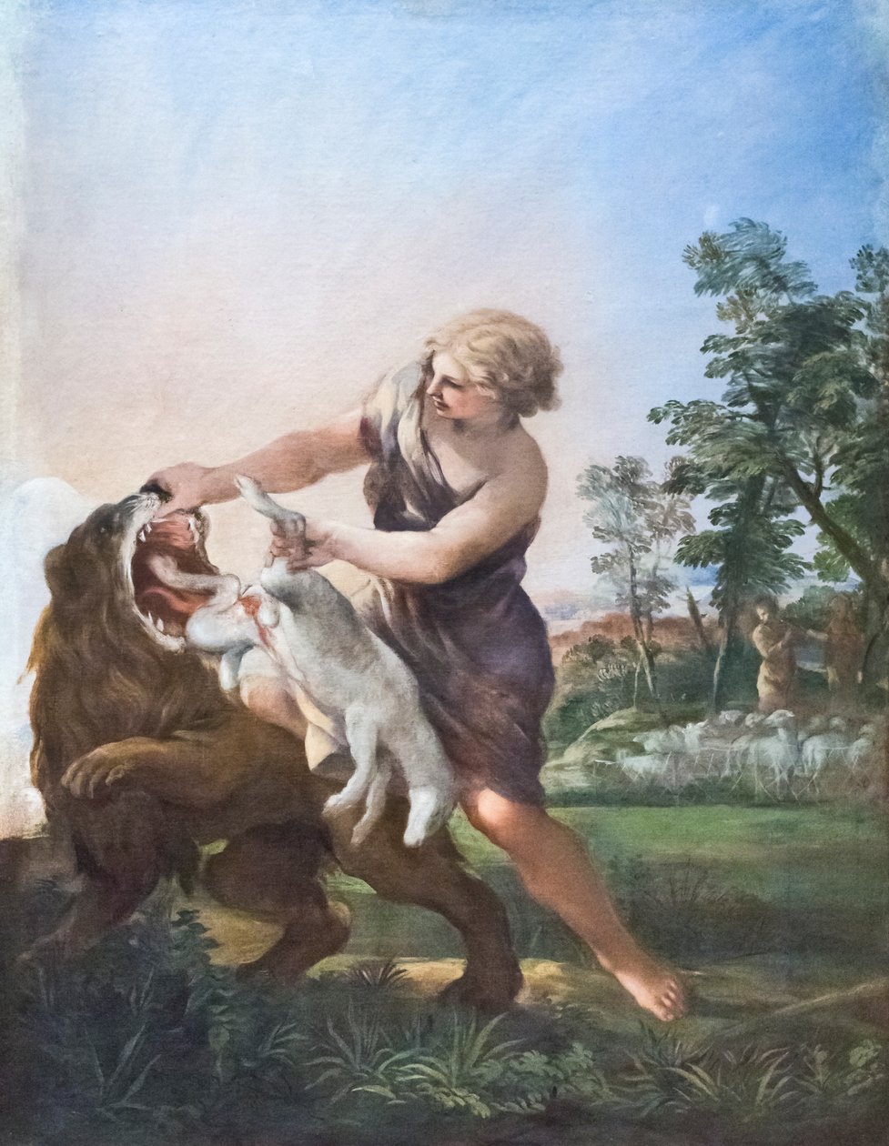 David Killing the Lion (olja på duk) av Pietro da (1596-1669) Cortona