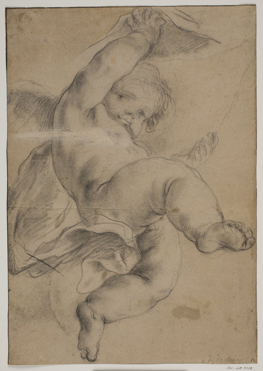 Flygande putto lyfter en gardin av Pietro da Cortona