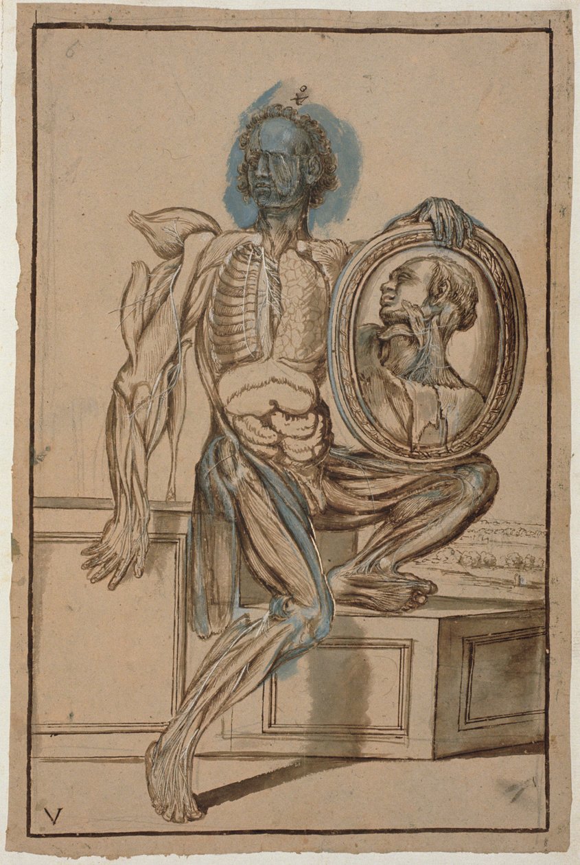Ms Hunter 653 Plate V Anatomical Drawing, c.1610 (penna och krita på papper) av Pietro da Cortona