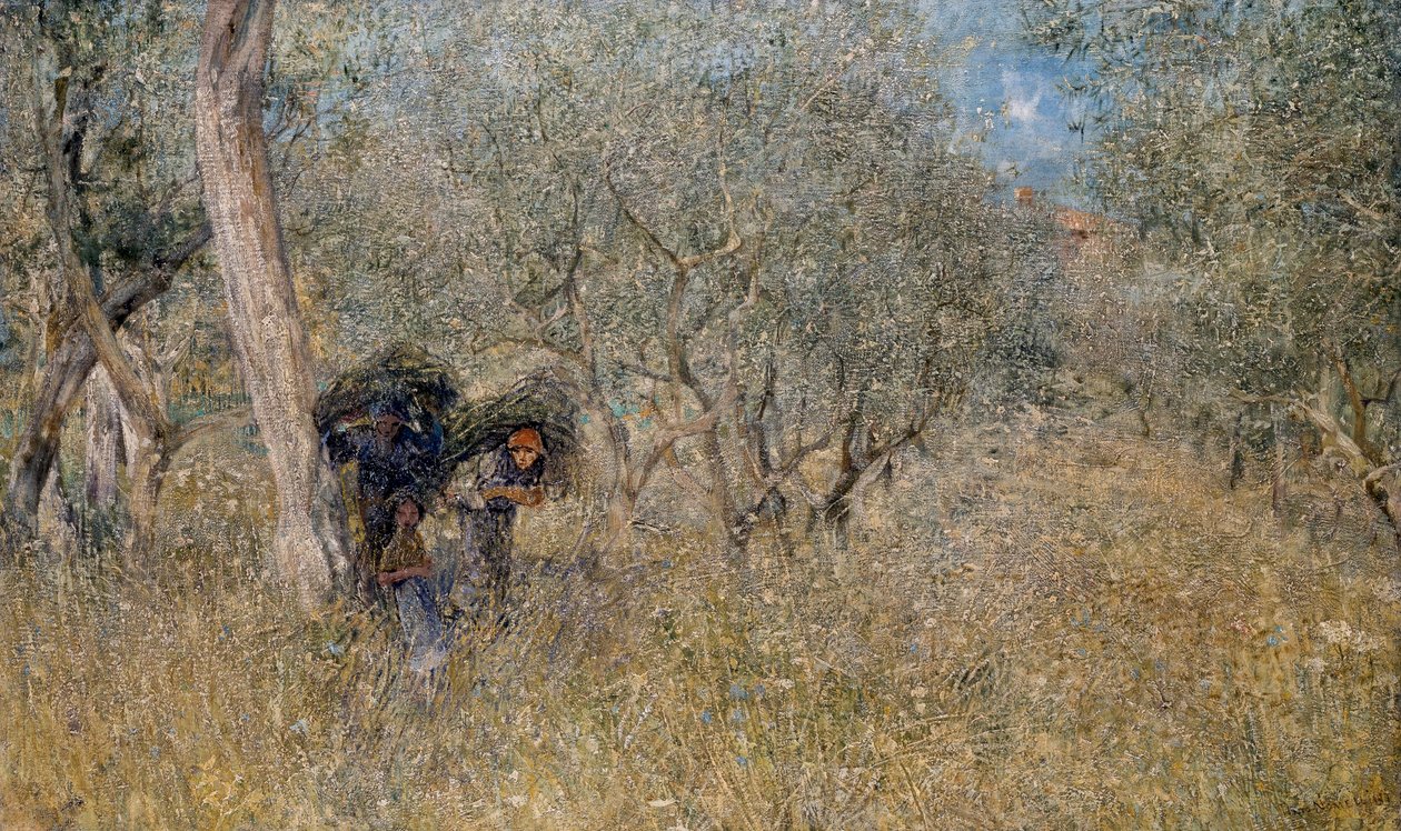 Bland olivträd, faskiner, av Plinio Nomellini (1866-1943), olja på duk, 60x100 cm av Plinio Nomellini