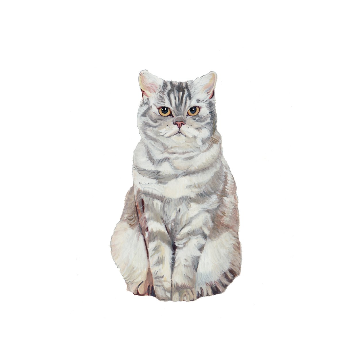 Selkirk Rex, 2014 (akvarell  gouache på papper) av Polly Horner
