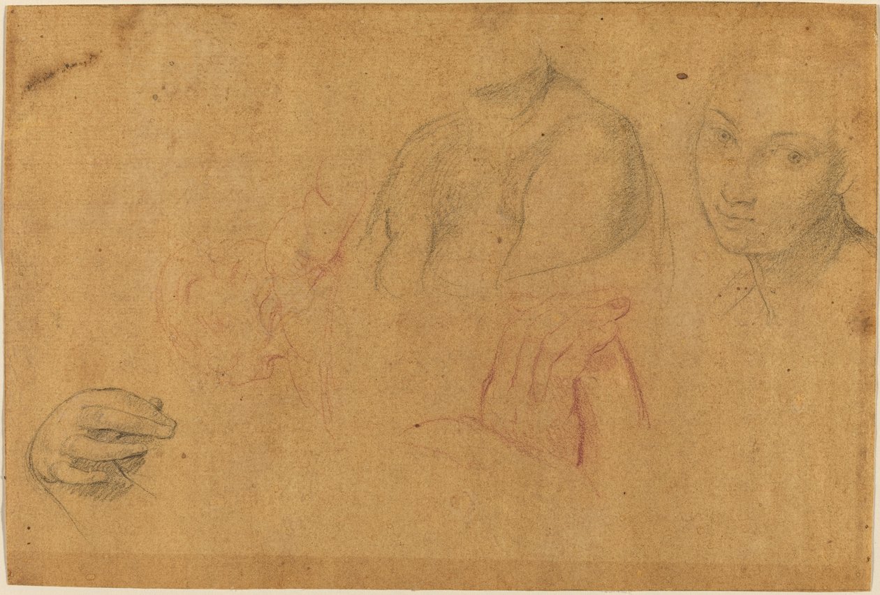 Skisser av huvuden och händer av Pompeo Batoni