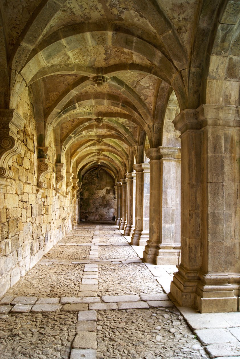 Utsikt över klostret, klostret Santa Maria de Salzedas, Tarouca, Portugal (sten) av Portuguese School