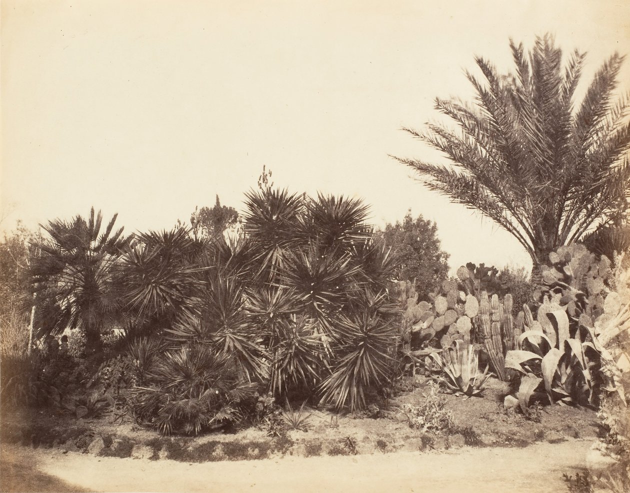 Pincian Garden, Rom, 1853-56. av Possibly by Jane Martha St. John.