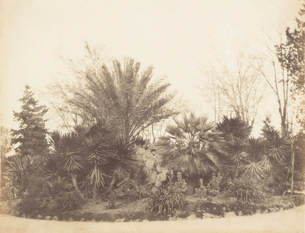 Pincian Garden, Rom, 1853-56. av Possibly by Jane Martha St. John.
