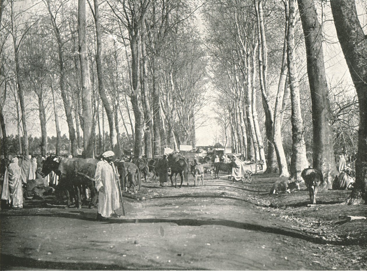 Arabisk mässa och marknad, Boufarik, Algeriet, 1895. av Poulton and Co