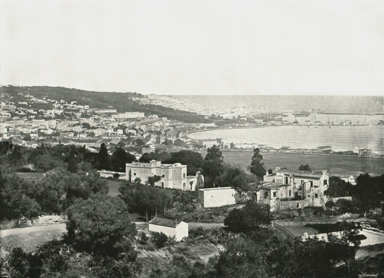 Utsikt från Mustafa, Alger, Algeriet, 1895. av Poulton and Co