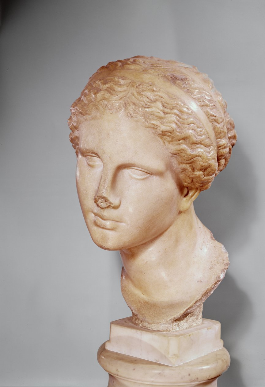 Venus of Martres, romersk kopia av ett grekiskt original (marmor) av Praxiteles