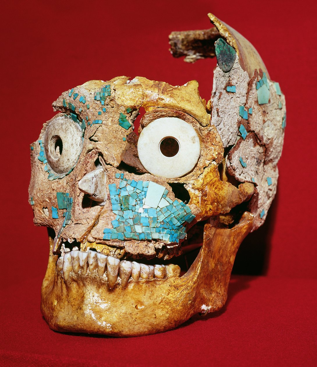 Skalle dekorerad med en mosaik i turkos och elfenben, Mixtec, från Tomb 7, Monte Alban, 1300-1450 av Pre Columbian