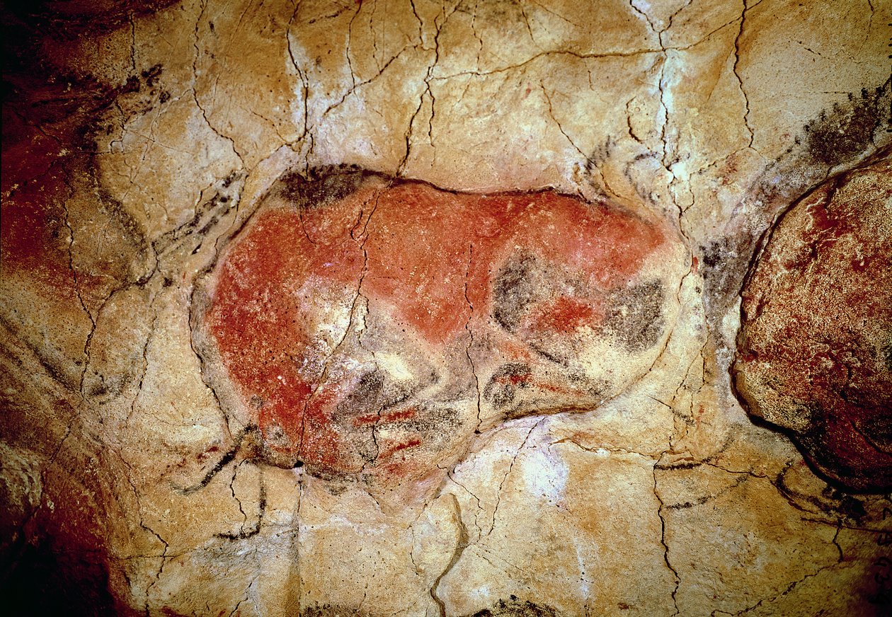 Bison från Altamira-grottorna, övre paleolitikum, c.15000-8000 f.Kr. (grottmålning) av Prehistoric