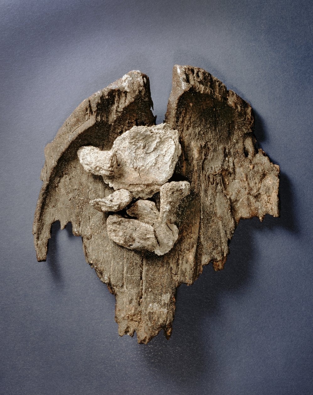 Fragment av en förhistorisk maträtt med rester av en köttfog, Tomb G73, Jericho, (trä) av Prehistoric