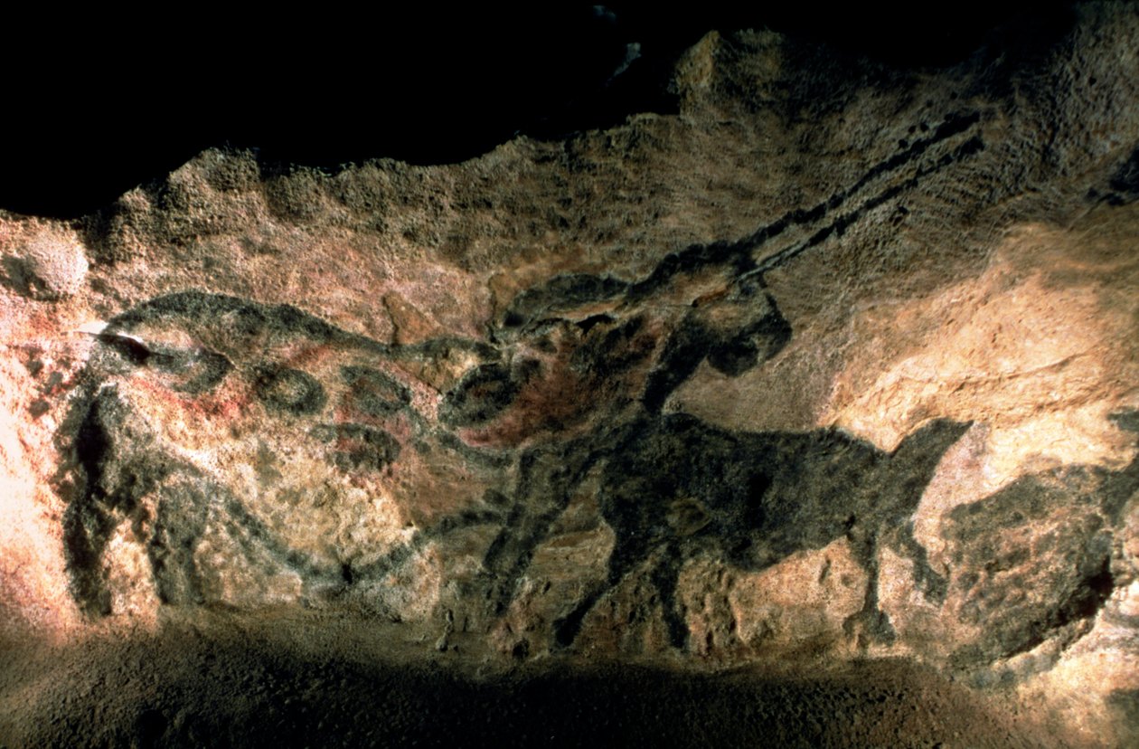Stenmålning av ett behornat djur, c.17000 f.Kr. (grottmålning) av Prehistoric
