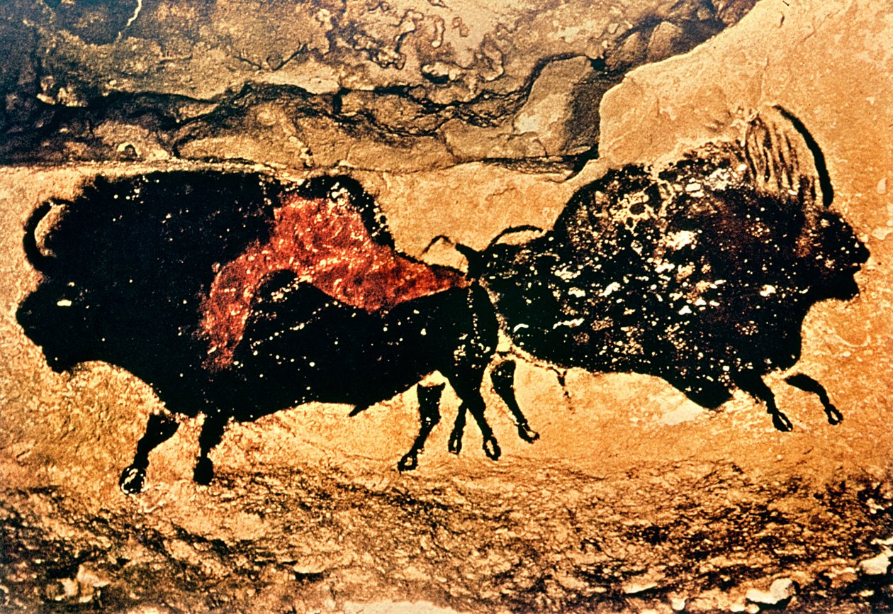 Hällmålning av bison, c.17000 f.Kr. (grottmålning) av Prehistoric