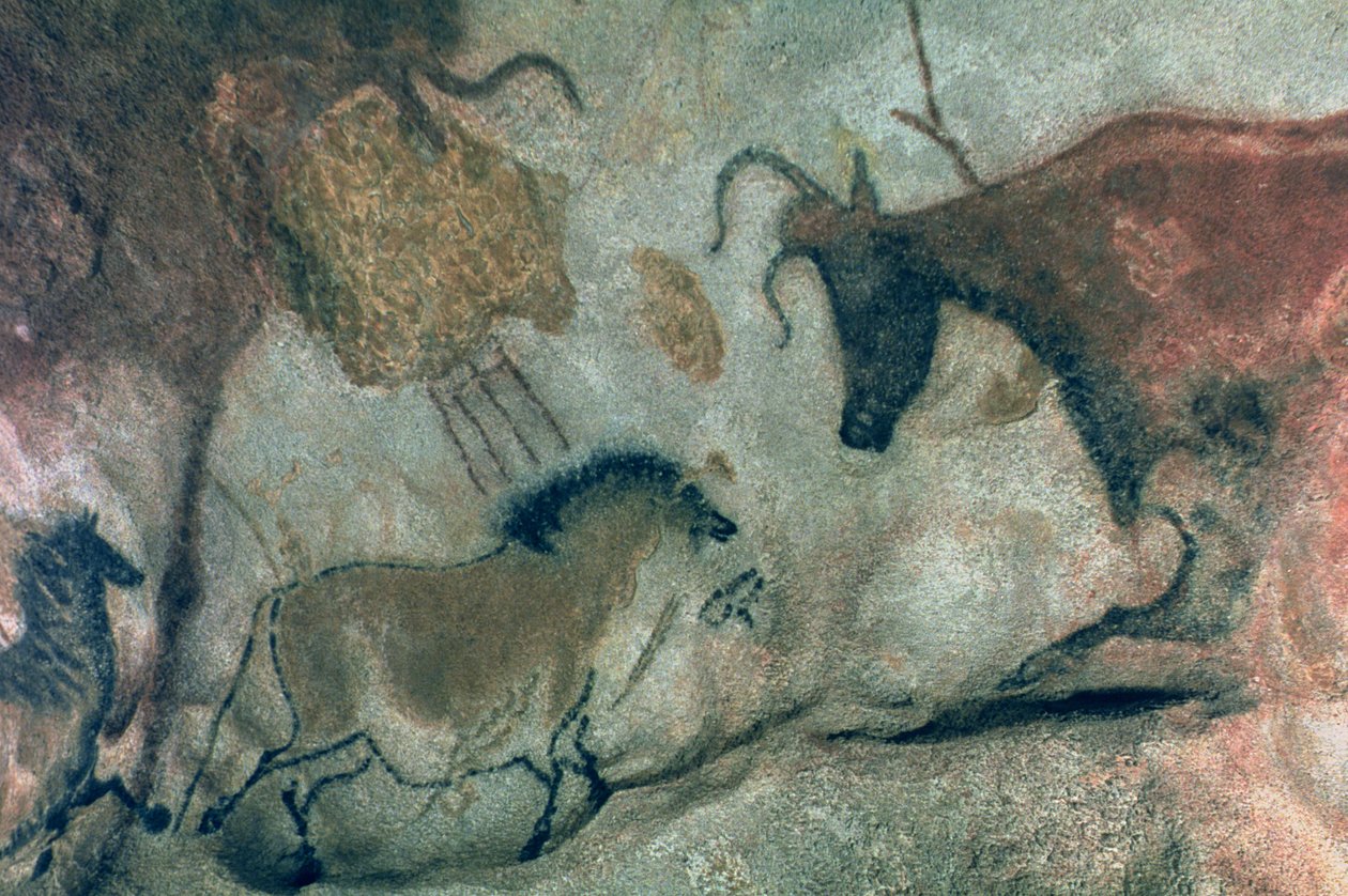Hällmålning som visar en häst och en ko, c.17000 f.Kr. (grottmålning) av Prehistoric