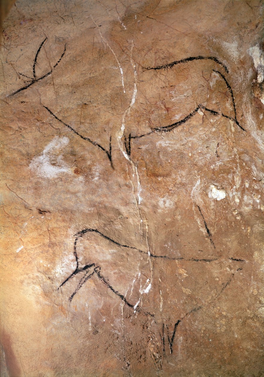 Two Stags, from the Caves of Altamira, c.15000 BC (grottmålning) av Prehistoric