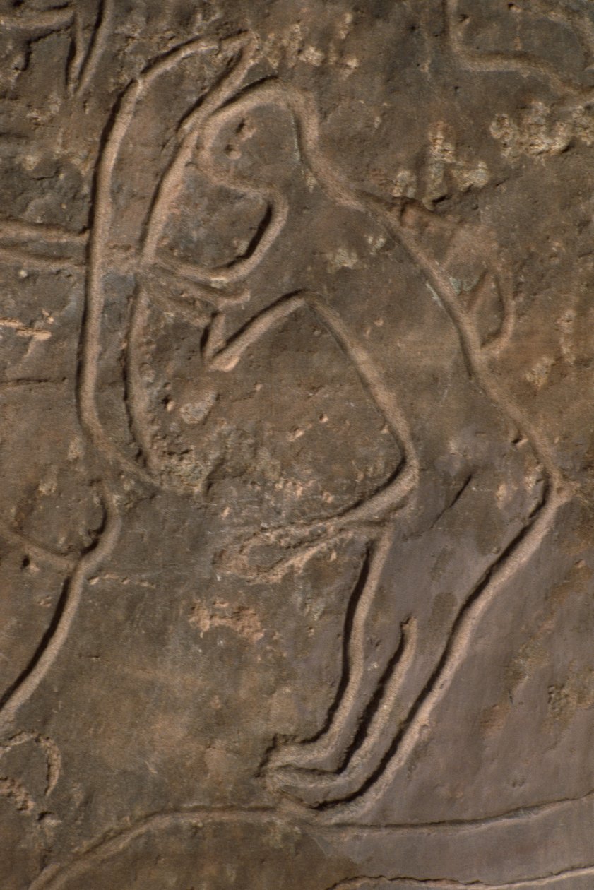 Människofigur och tjurhuvud (hällristning) av Prehistoric