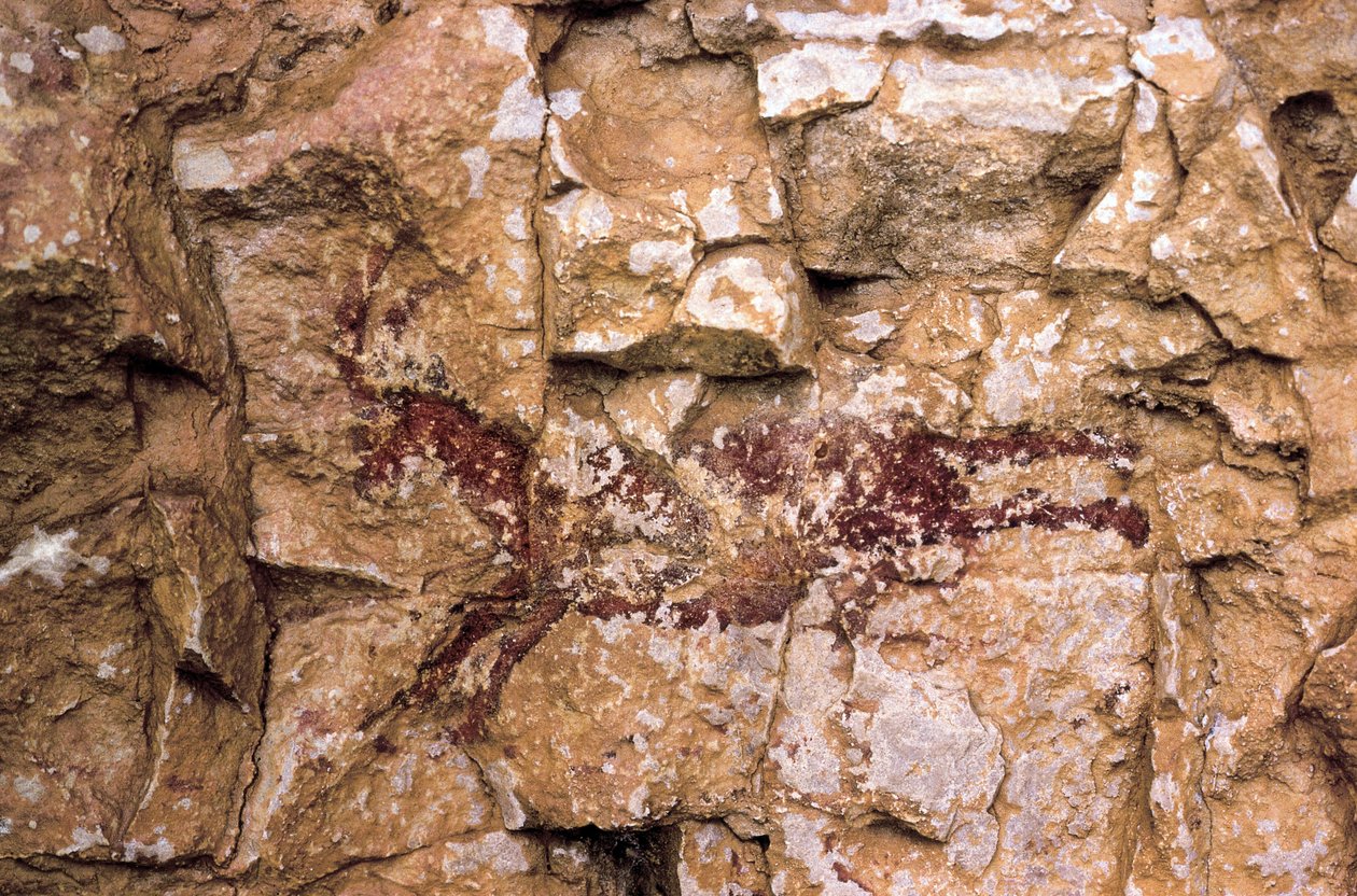 En springande get, mesolitisk tid, Spanien, Remigia-grottan, Barranco de la Gasulla, Ares del Maestre (målning) av Prehistoric Prehistoric