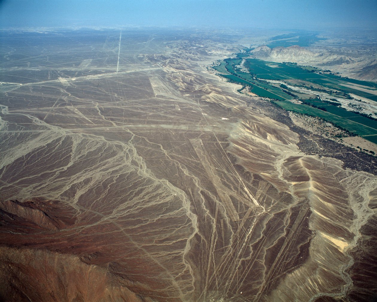 Flygfoto över Nazca-linjerna som representerar en fågelfigur (fotografi av Prehistoric Prehistoric