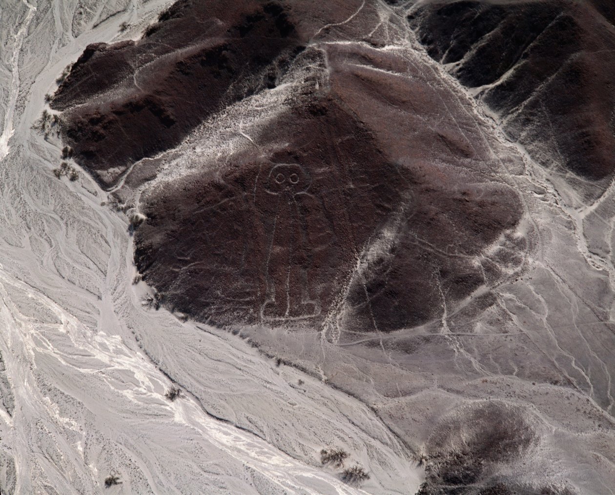 Flygfoto av Nazca-linjerna som representerar en mänsklig figur (fotografi av Prehistoric Prehistoric