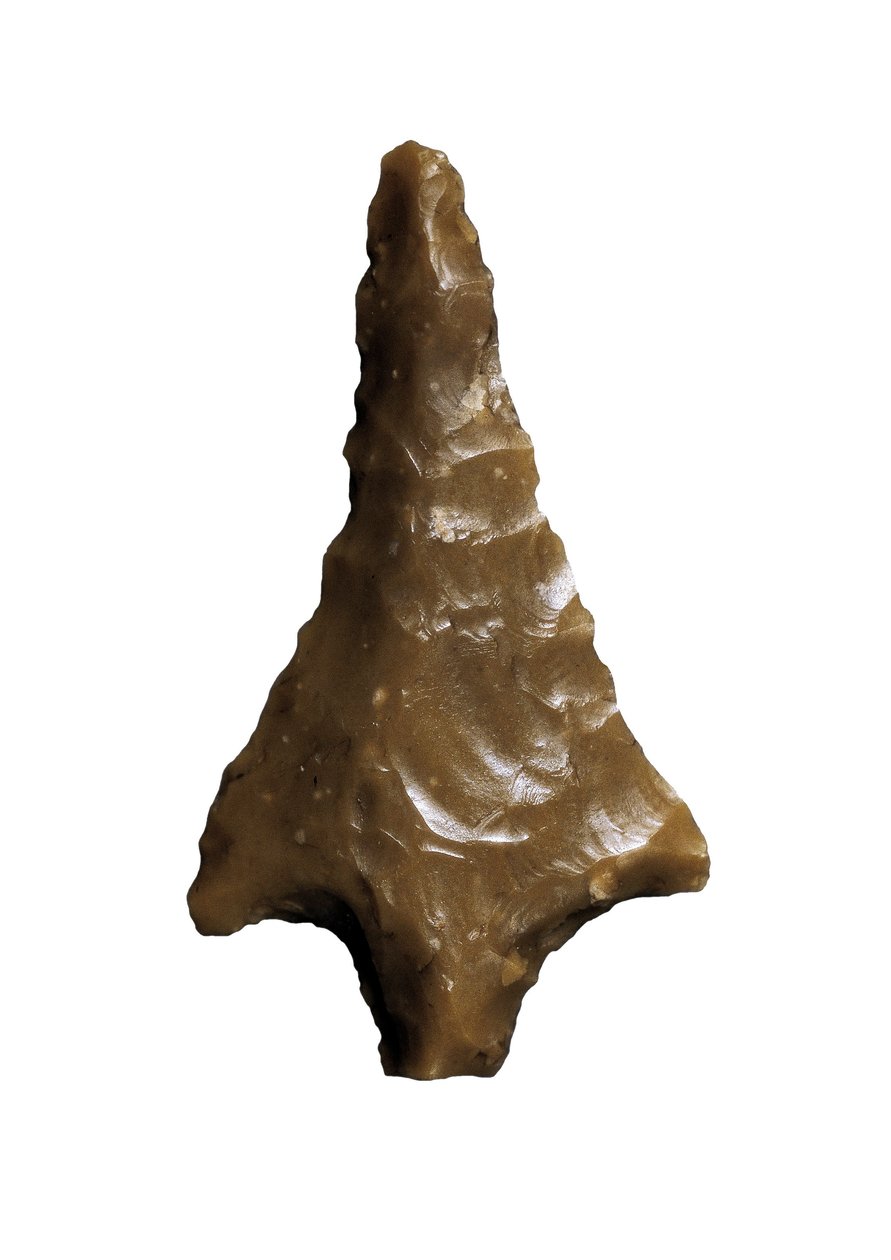 Pilpunkt för förhistorien (Övre paleolitikum - Solutreen). är infödd i Velez Blanco, grottan i Ambrosio Barcelona (ben) av Prehistoric Prehistoric