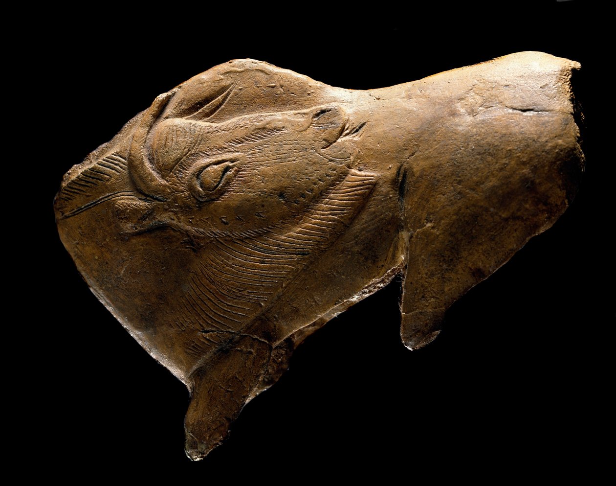 Bison som reser sig (Skulptur i renved från Madeleine i Dordognes skydd. 11000 f.Kr.) av Prehistoric Prehistoric