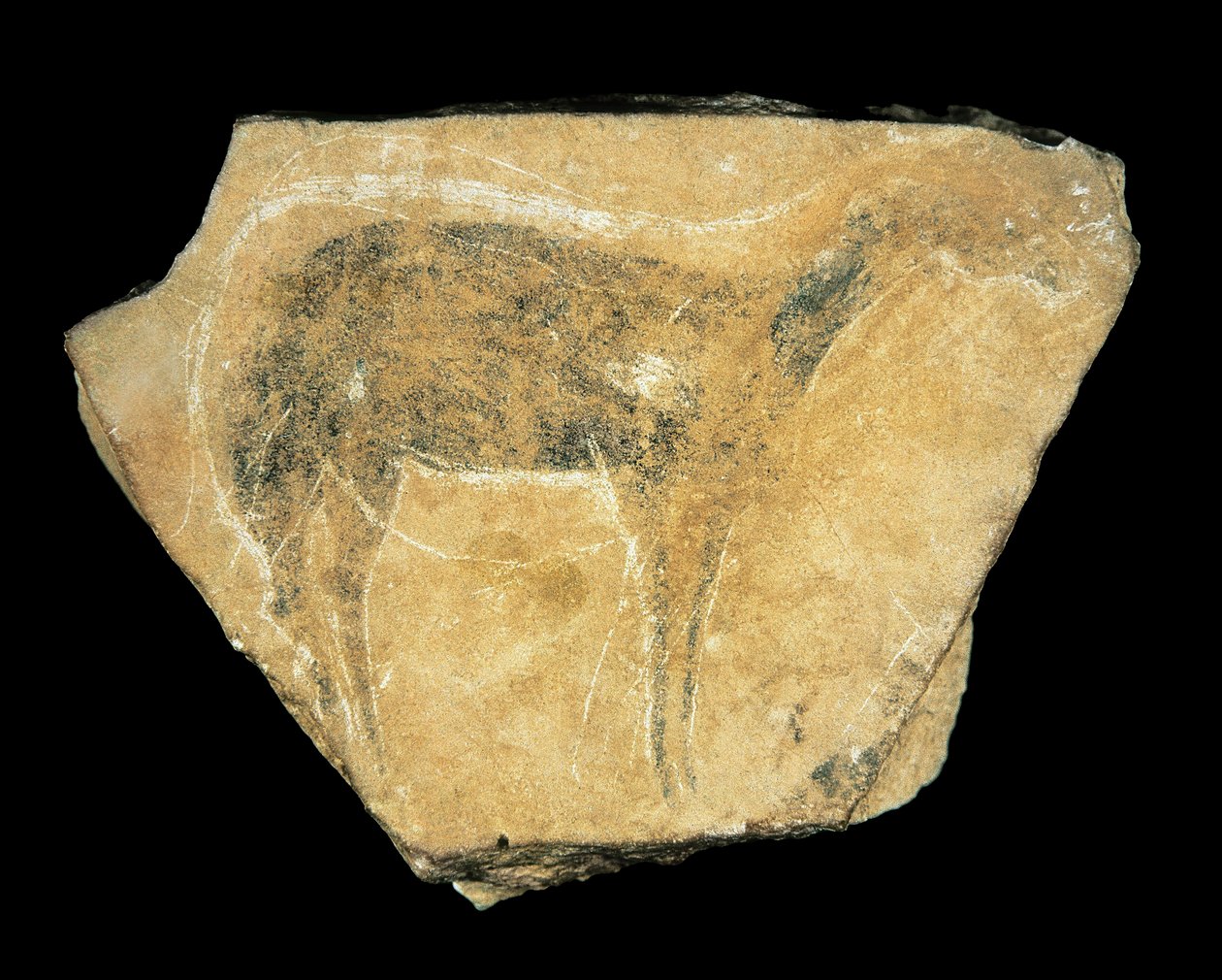 Black Doe, Parpallo Cave, Spanien, övre paleolitikum (målning) av Prehistoric Prehistoric