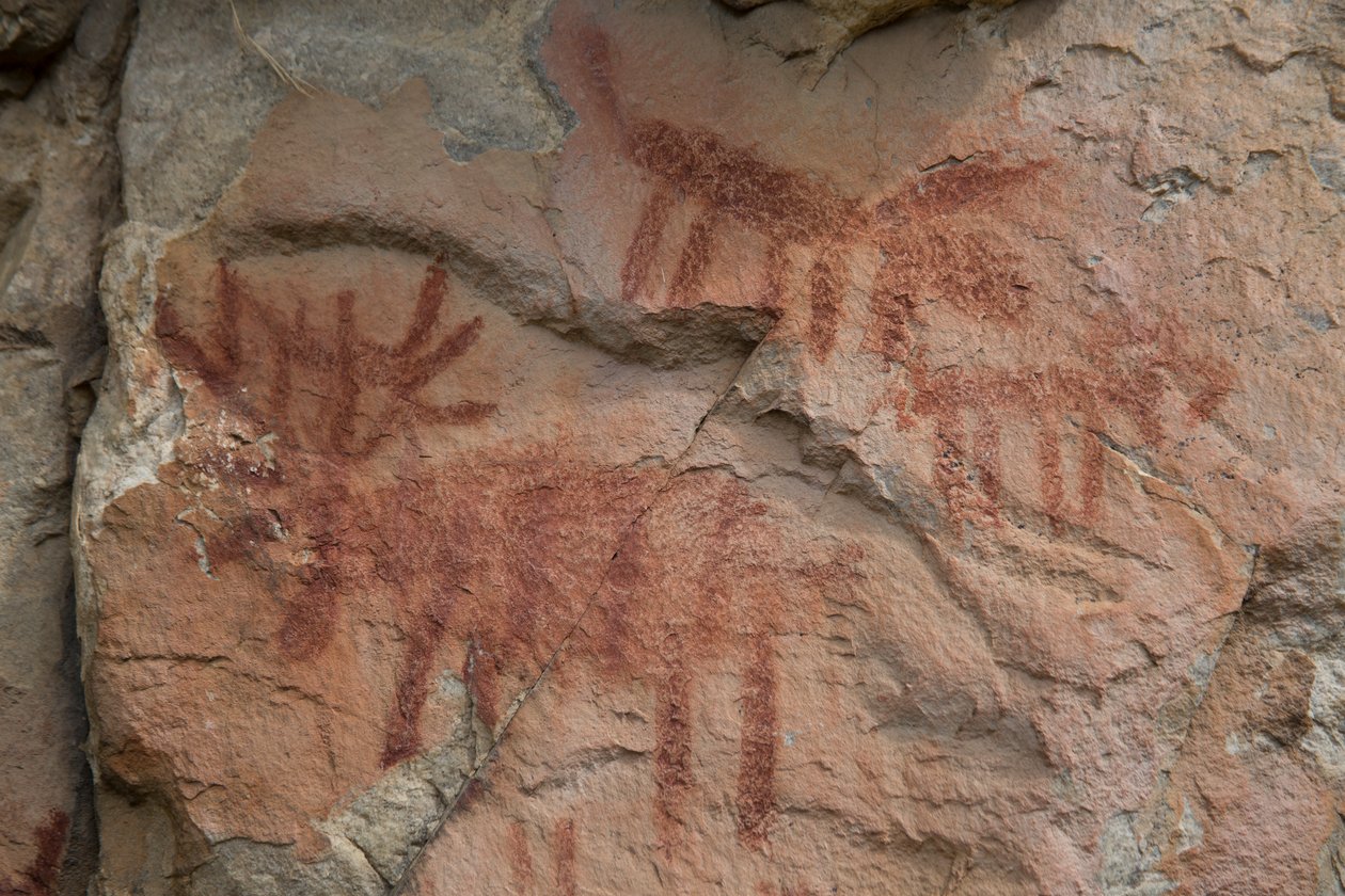 Grottmålning, Salmon-Challis National Forest (foto) av Prehistoric Prehistoric