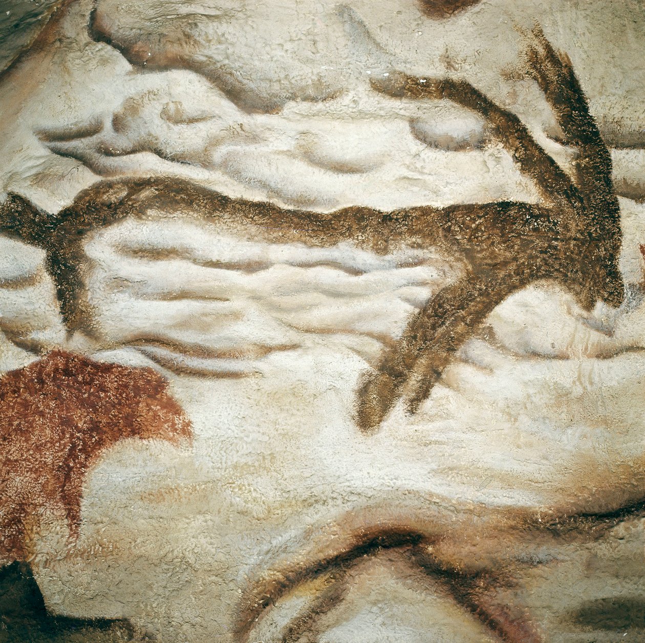 Cervid hällmålning, Cave de Lascaux, Dordogne, Frankrike, övre paleolitikum (Magdalenian) ca. 13000 år sedan (målning) av Prehistoric Prehistoric