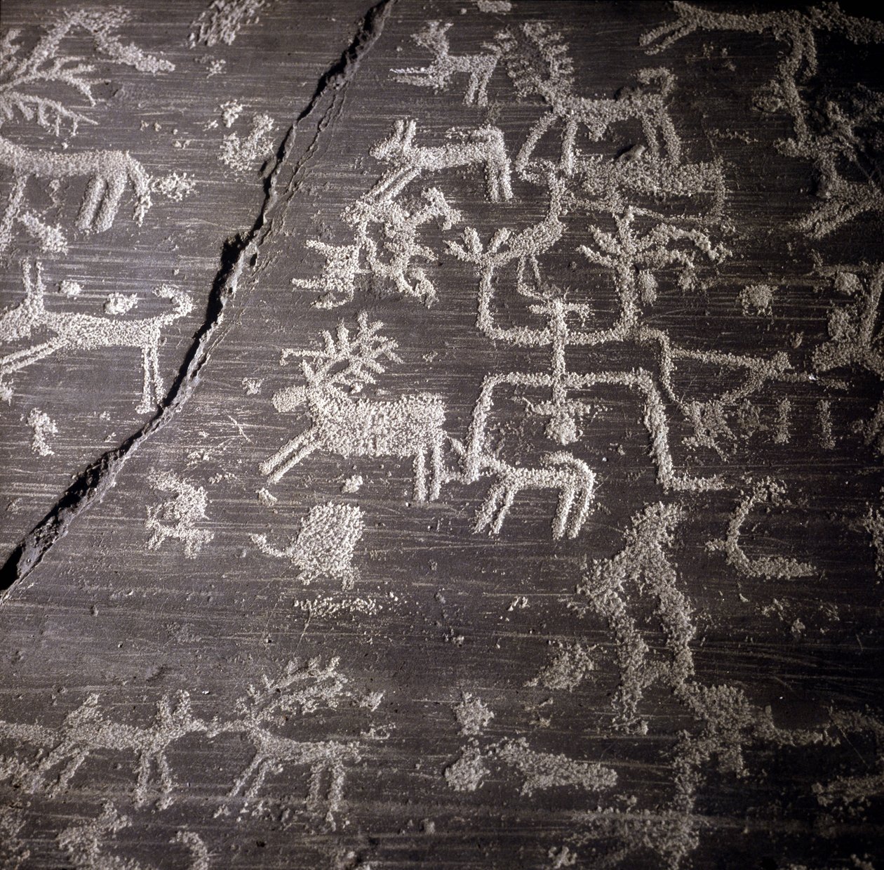 Civilisationen av Camunni, förhistoria, klippkonst: gravsten, detaljer om den stora klippan i Naquane, i Valcamonica (Val camonica). Museo archeologico de Milan av Prehistoric Prehistoric