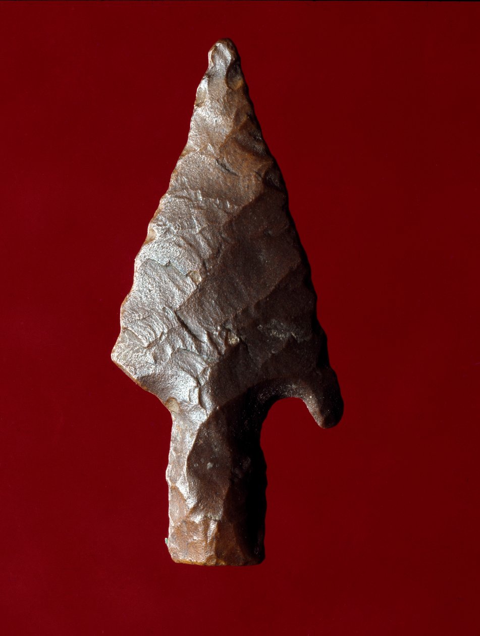 Egyptisk antikvitet: pilspets från platsen för Fayoum (Fayyum eller Fayum) i Egypten. Predynastisk period. Verone, Museo Civico di Storia Naturale, Italien av Prehistoric Prehistoric