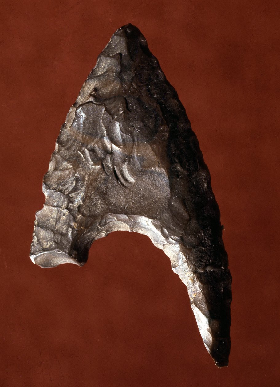 Egyptisk antikvitet: pilspets från platsen för Fayoum (Fayyum eller Fayum) i Egypten. Predynastisk period. Verone, Museo Civico di Storia Naturale, Italien av Prehistoric Prehistoric