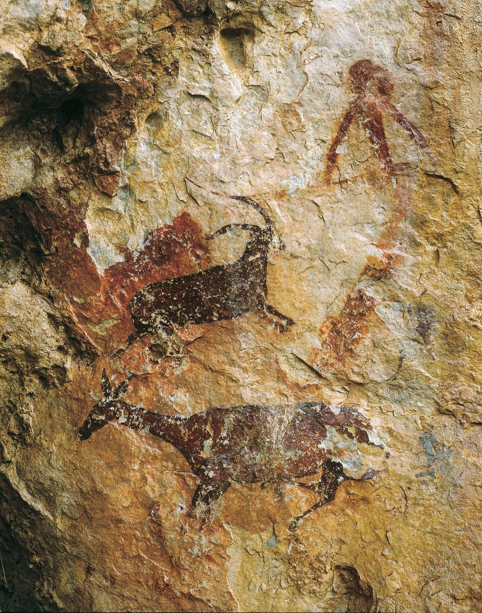 Jaktscen med ett rådjur och en stenbock (25000-15000 f.Kr.). Övre paleolitikum. El Perello, grottan i La Cabra Freixet. av Prehistoric Prehistoric