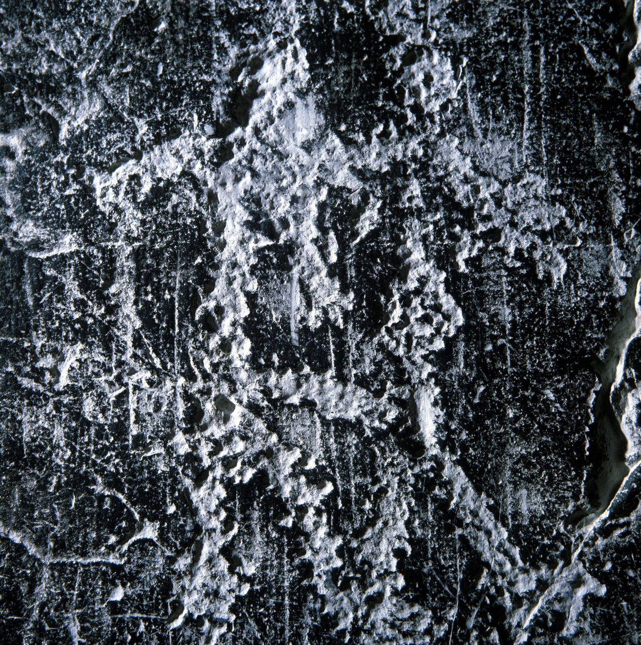 Parningsscen. Förhistorisk graffiti i Camonicadalen, Foppe di Nardo. av Prehistoric Prehistoric