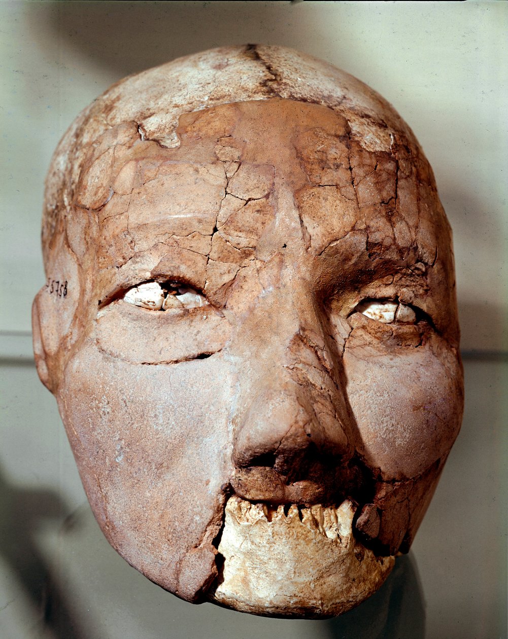 Neolitisk konst: mänsklig skalle från stenåldern (6000-4000 f.Kr.). Från Jeriko, arkeologiska museet, Amman, Jordanien av Prehistoric Prehistoric