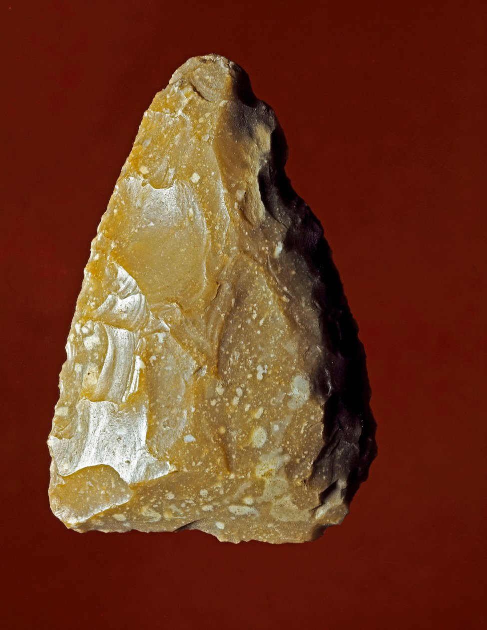 Prehistoire: Litiskt tillverkningsverktyg för Campignana-kulturen, Gargano, Italien. Kalkolitisk. Verone, Museo Civico di Storia Naturale, Italien av Prehistoric Prehistoric