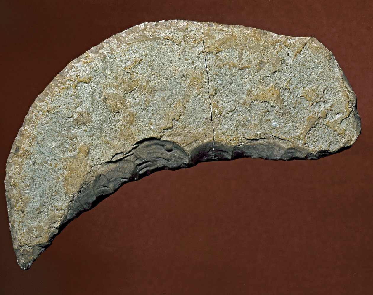 Prehistoire: verktyg av typen chopper av litisk tillverkning av Kjokkenmoddinger, danmark. Paleolitisk. Verone, Museo Civico di Storia Naturale, Italien av Prehistoric Prehistoric