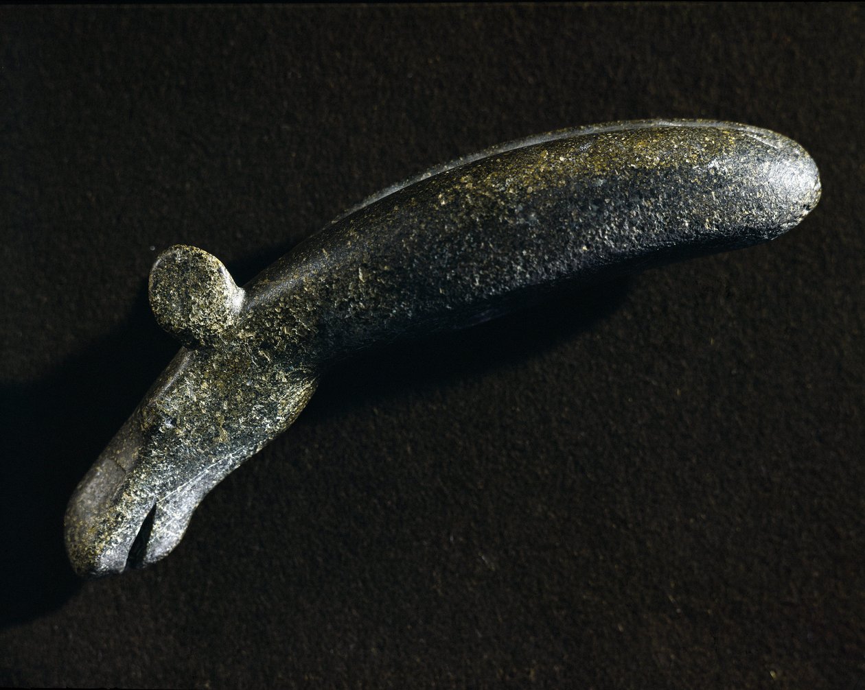 Prehistoire: dioritverktyg i form av elan. Stenåldern. Riksantikvariemuseet, Stockholm Sverige av Prehistoric Prehistoric